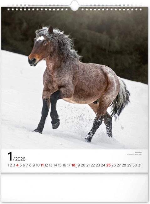 Wandkalender Paarden 2026