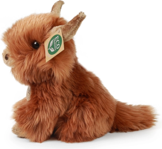 Authentieke look van de Schotse hooglander