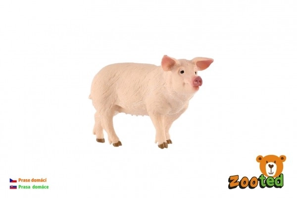 Varken huisdier zooted plastic 10cm in zak