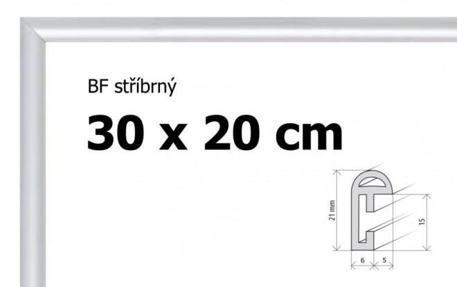 Plastic frame 30x20cm zilver