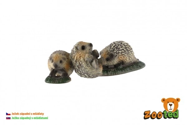 Westerse egel moeder met jongen zooted plastic 8cm in zak