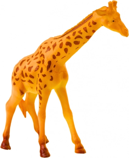 Leren door te spelen – ontdek dieren