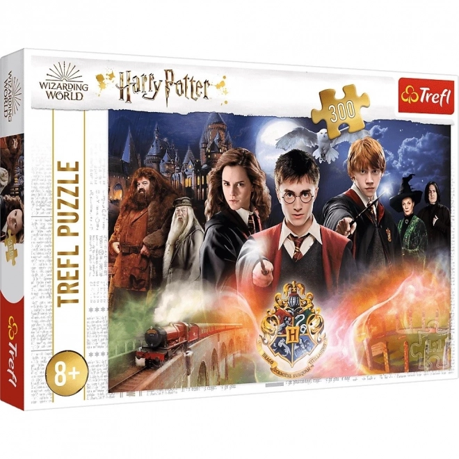 Mysterieus Harry Potter-puzzel 300 stukjes