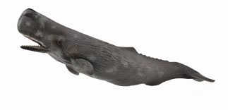 Walvis uit de Collecta collectie