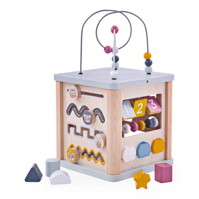 Bigjigs Baby Motorische Activiteitskubus