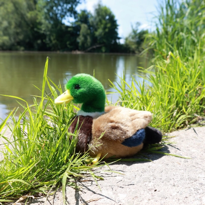 Pluche eend 20 cm MILIEUVRIENDELIJK