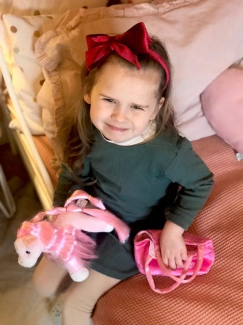 Pluche Pony en Tas Princess