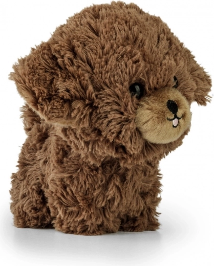 Schattige details voor een levendige uitstraling