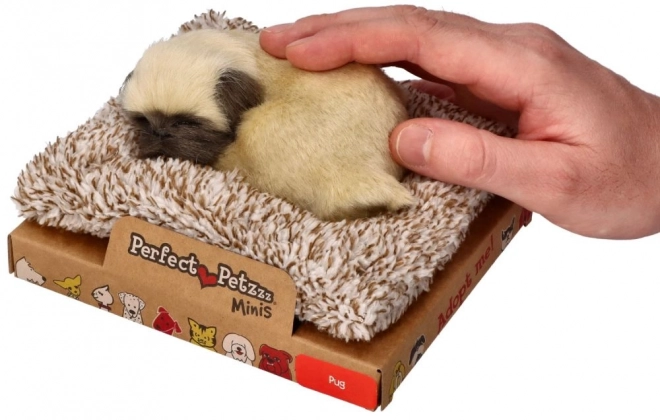 Schattige mopshond puppy Perfect Petzzz