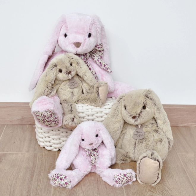 Doudou Histoire d'Ours Pluche Vriend Beige Konijntje 40 cm