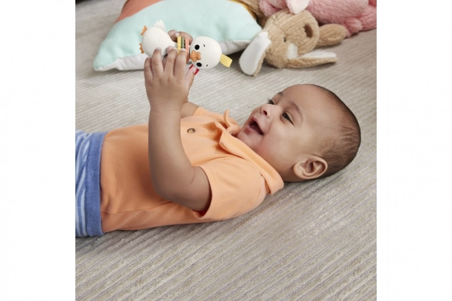 Fisher-Price sensorisch speelgoed voor baby's
