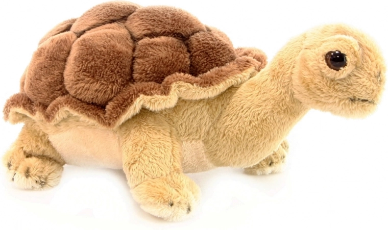 Realistische look met gedetailleerde schaal