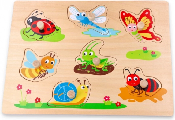 Spelenderwijs leren over insecten