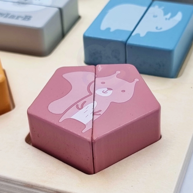 Vormpuzzel PolarB