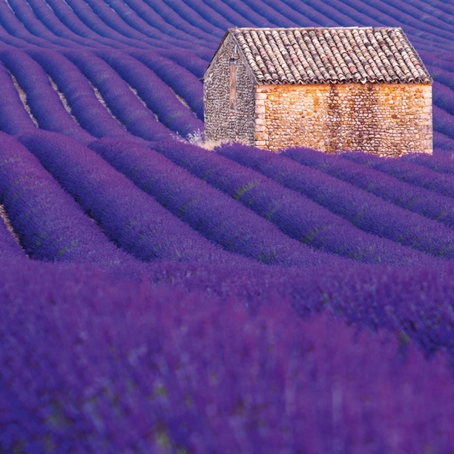 Notitiekalender Provence 2026