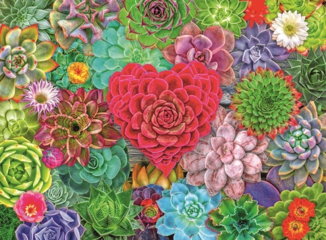Puzzel Suculentenparadijs 500 stukjes