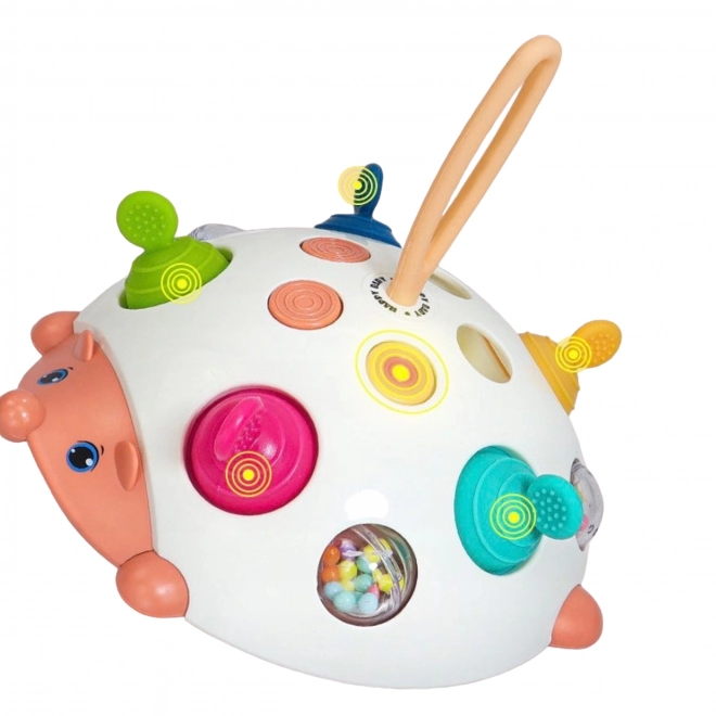 Sensorisch speelgoed Egel 4-in-1 Pop-it Actief