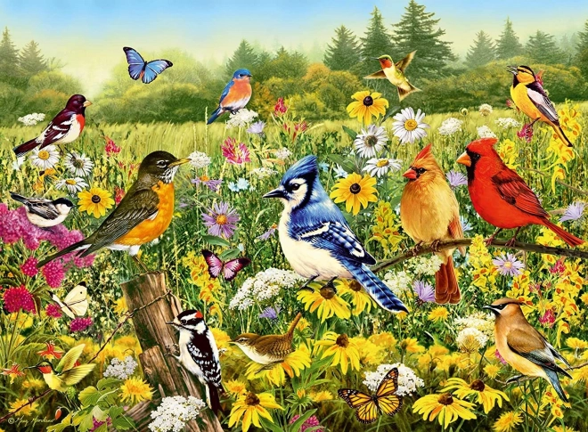 Ravensburger puzzel Vogelweide 500 stukjes