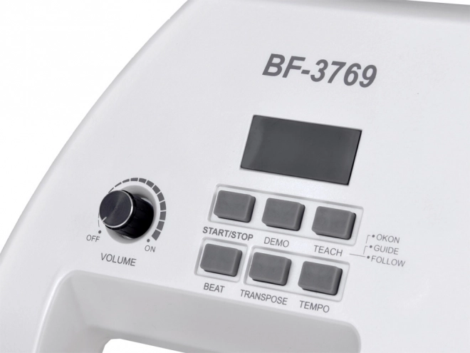 Elektrische piano + microfoon Speelgoed Instrument voor kinderen IN0173