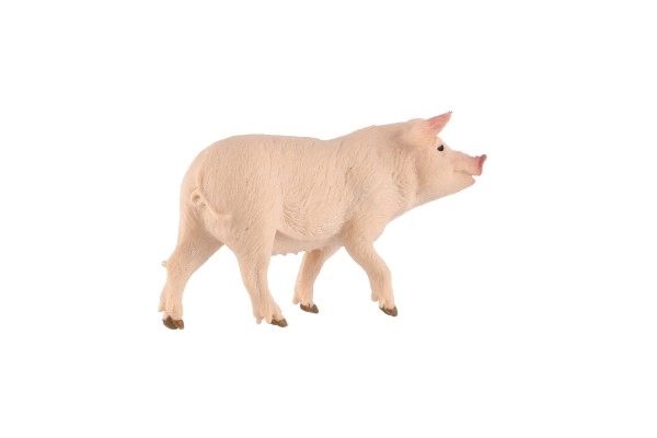 Varken huisdier zooted plastic 10cm in zak
