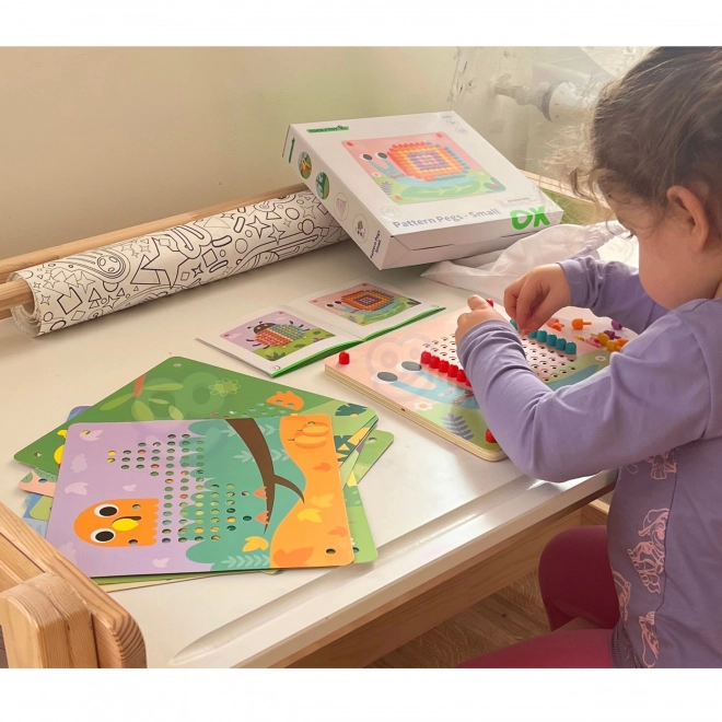 Houten puzzel met pinnetjes van Tooky Toy