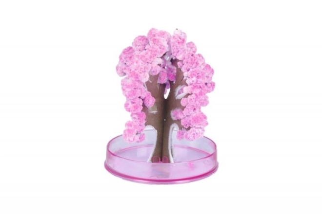 ARTO Magische Sakura