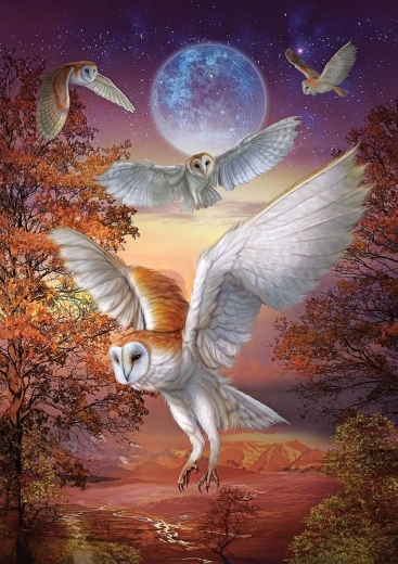 Puzzel Nachtelijke uilen 1000 stukjes ART PUZZLE