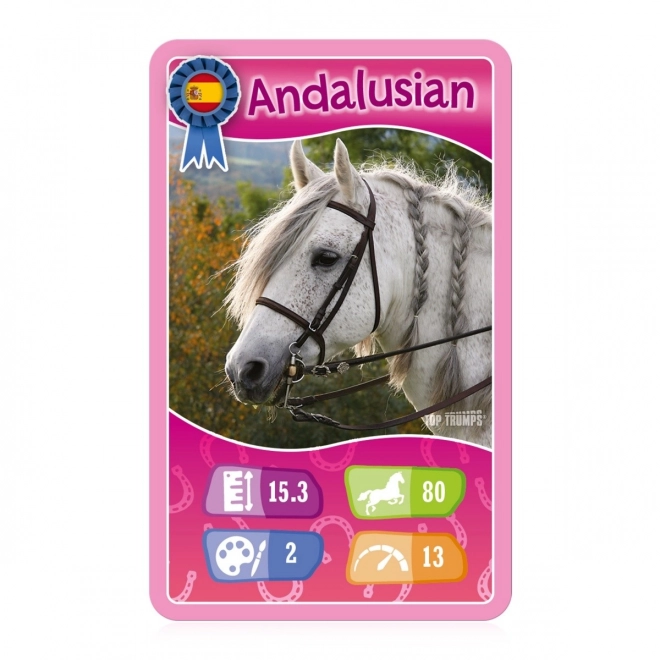 TT Paarden en Eenhoorns