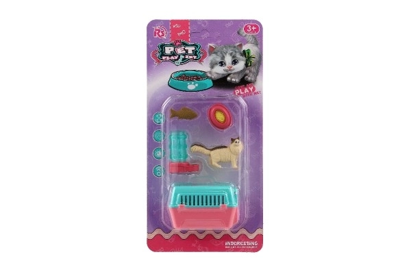 Poes met draagbare doos en accessoires