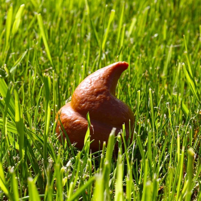 Antistressbal - drolletje