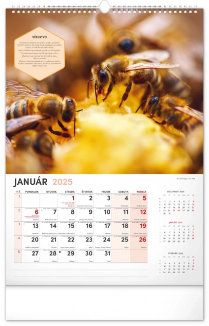 NOTIQUE Muur Bijenteelt Kalender 2025, 33 x 46 cm
