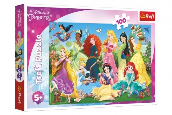 Puzzel Betoverende prinsessen/Disney 100 stukjes 41x27,5cm in doos 29x19x4cm