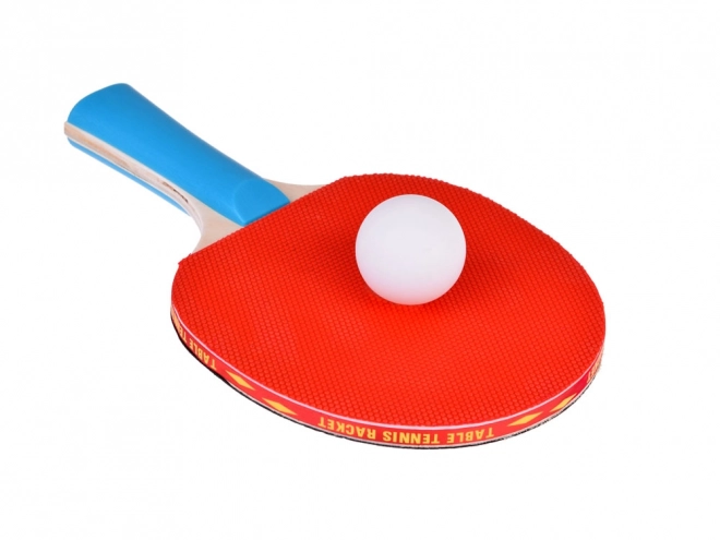 Houten tafeltennisbatjes met balletjes