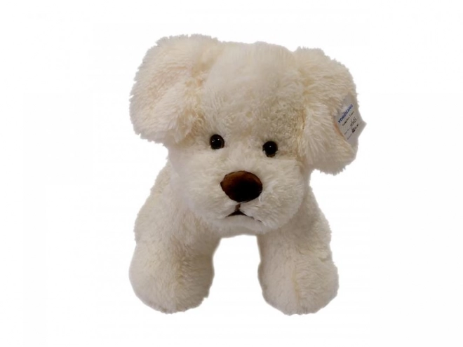 Crème pluchen hondje