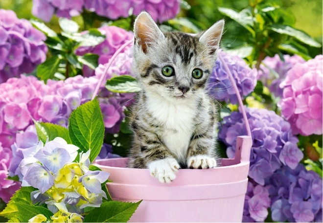 Puzzel 1500 stukjes Kittens in mand CASTORLAND