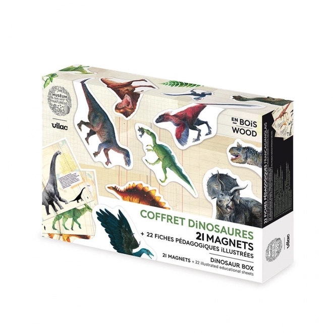 Vilac Magneten Dinosaurussen