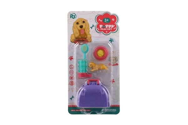 Mazlíček hond met draagbare doos en accessoires