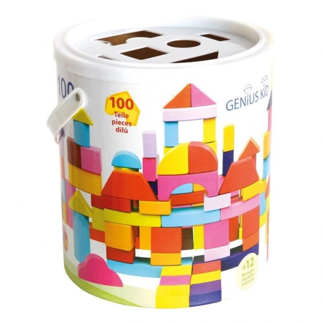Bino Blokken in Emmer 100 stuks nieuwe kleuren
