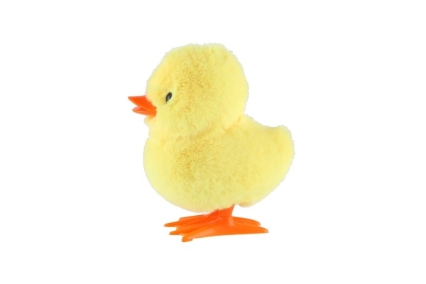 Springende eend opwinden