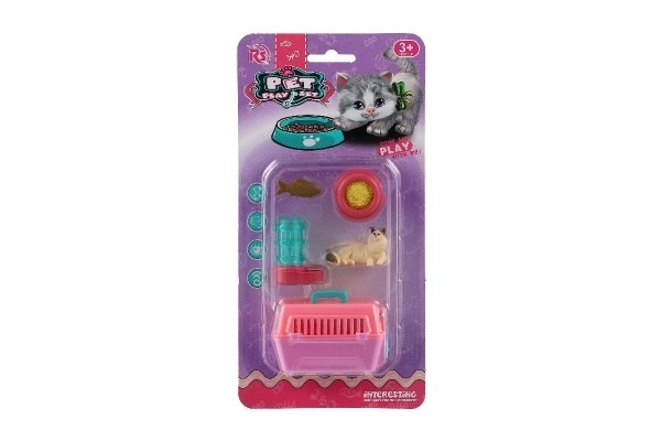 Poes met draagbare doos en accessoires