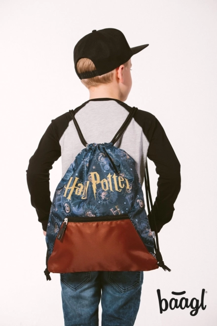Zak met zak Harry Potter Zweinstein