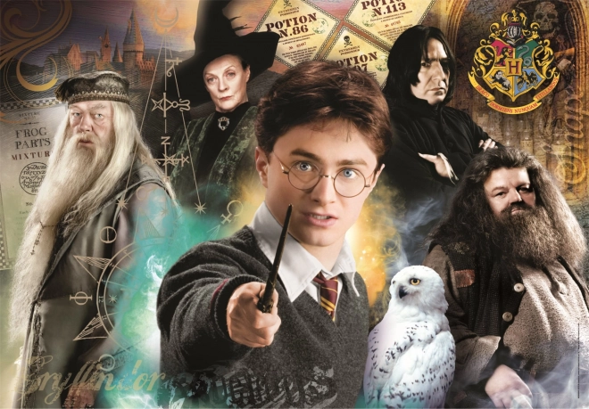 Puzzel Harry Potter 500 stukjes