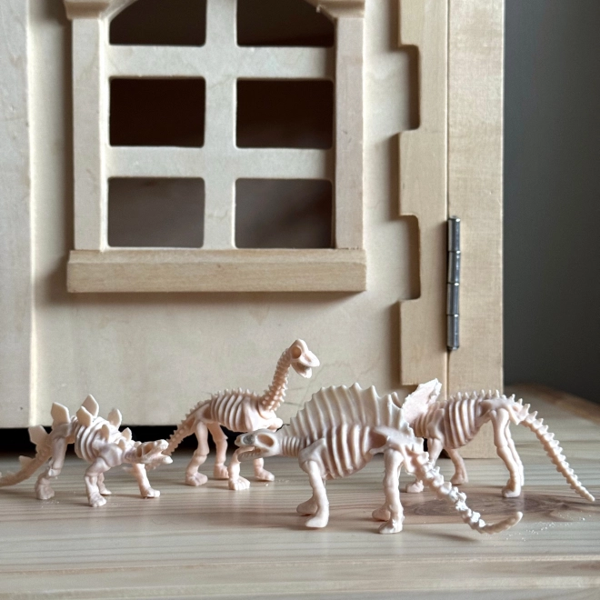 Graaf de dinosaurussen op: Kleine archeoloog