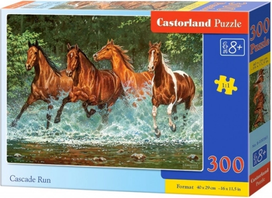 Puzzel 300 stukjes Cascade Run