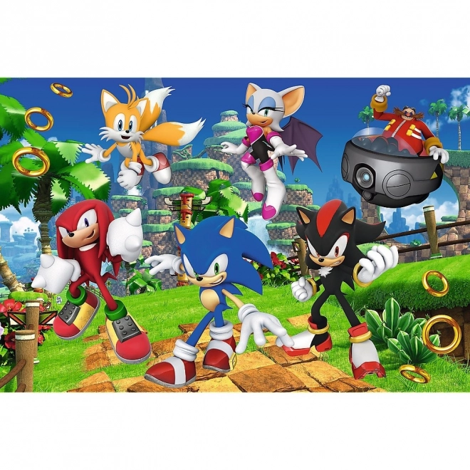 Puzzel Sonic en vrienden 160 stukjes