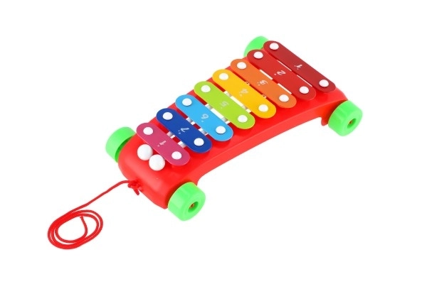 Xylofoon kunststof/metaal 24cm met stokken 2 kleuren in zak 19x31x6cm