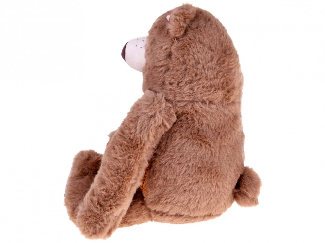 Schattige pluchen teddybeer Teodor