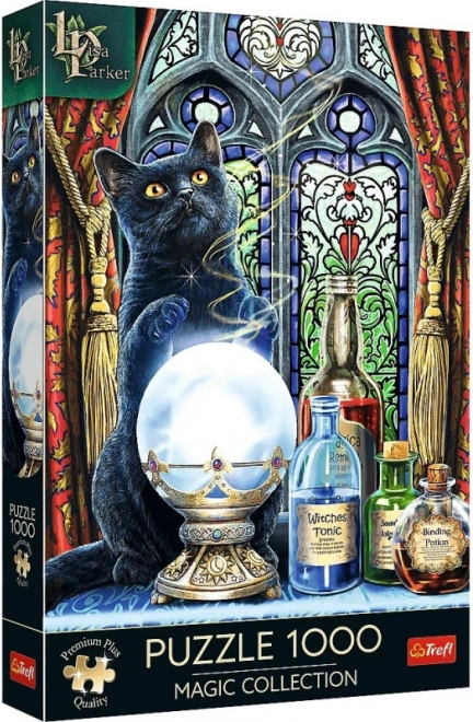 Trefl puzzel Premium Plus Magic Collection: tovenaarsleerling 1000 stukjes