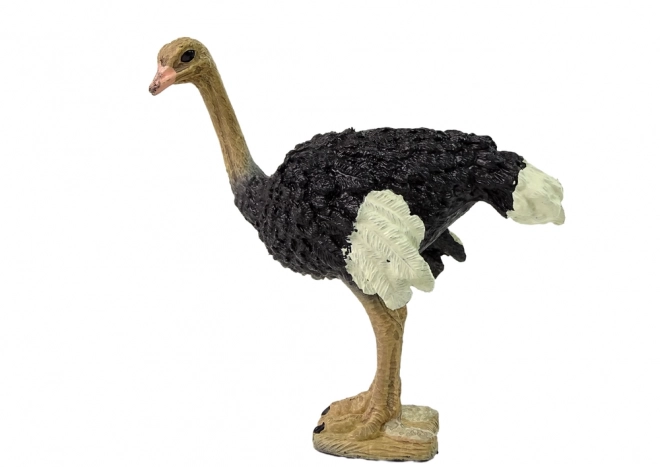 Verzamelfiguur struisvogel – serie Dieren van de wereld