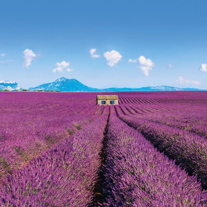 Notitie Kalender Provence 2026